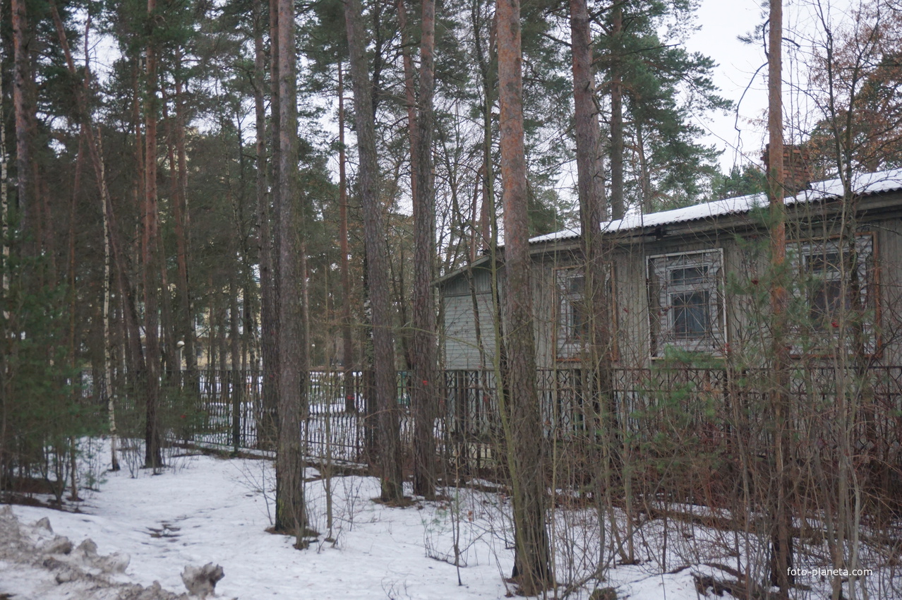 Сестрорецк п.Разлив.