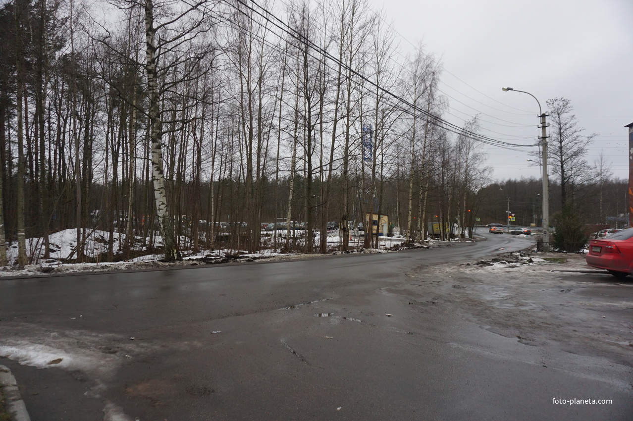 Сестрорецк п.Разлив.