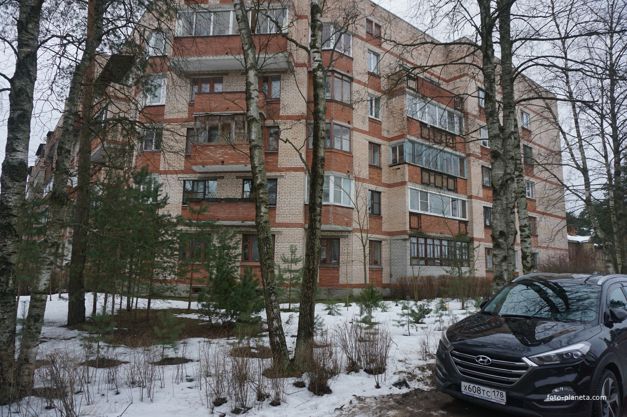 Сестрорецк п.Разлив.