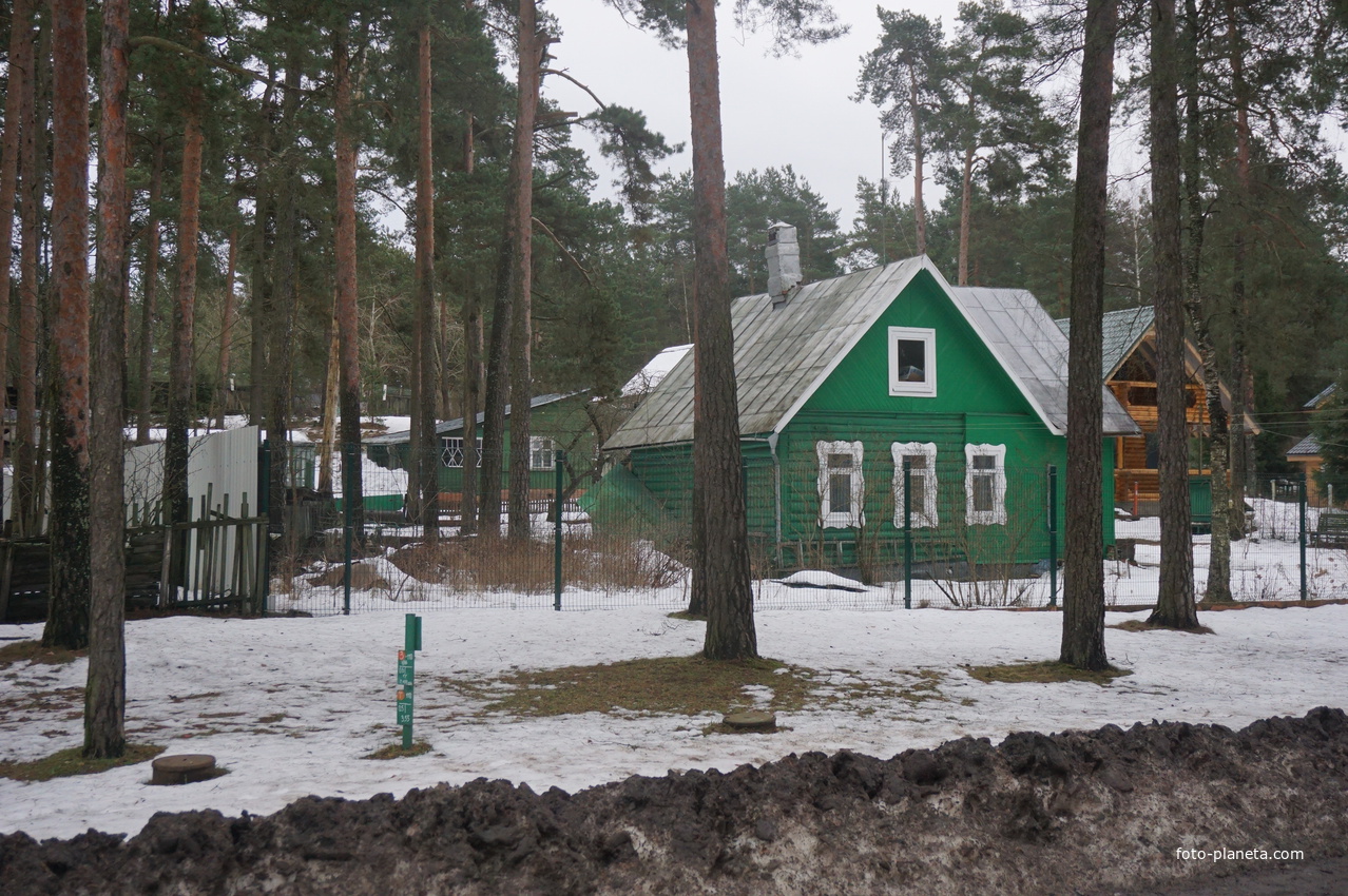 Сестрорецк п.Разлив.