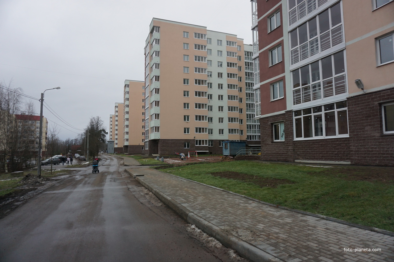 Сестрорецк п.Разлив.