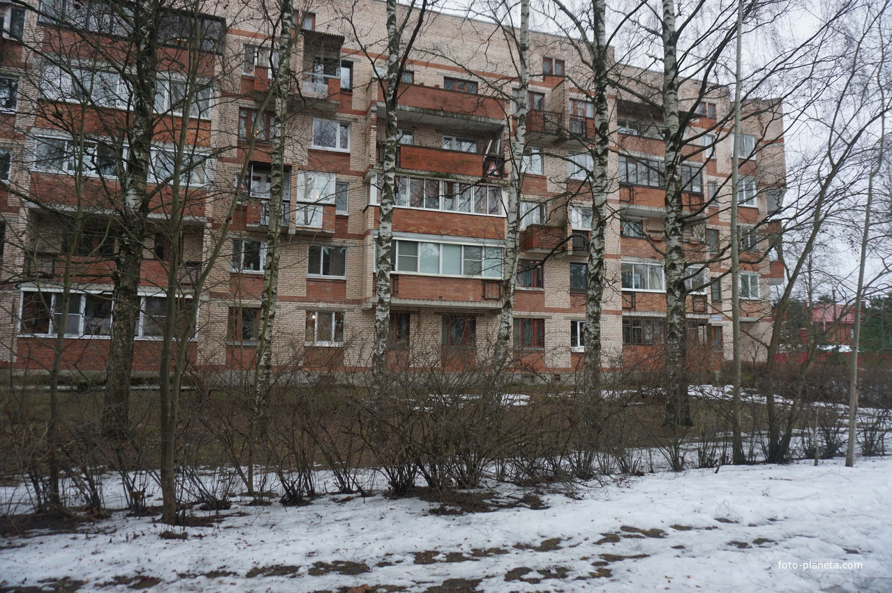 Сестрорецк п.Разлив.