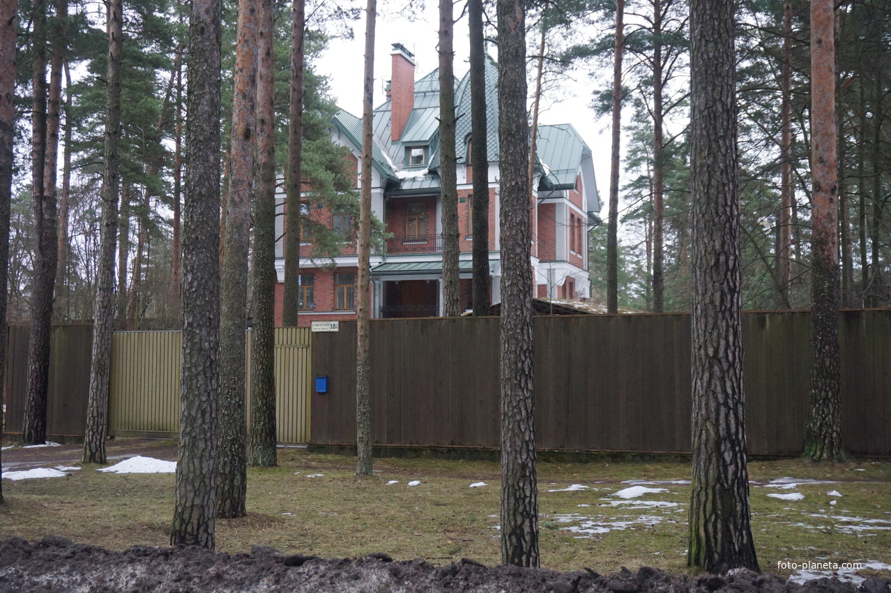 Сестрорецк п.Разлив.