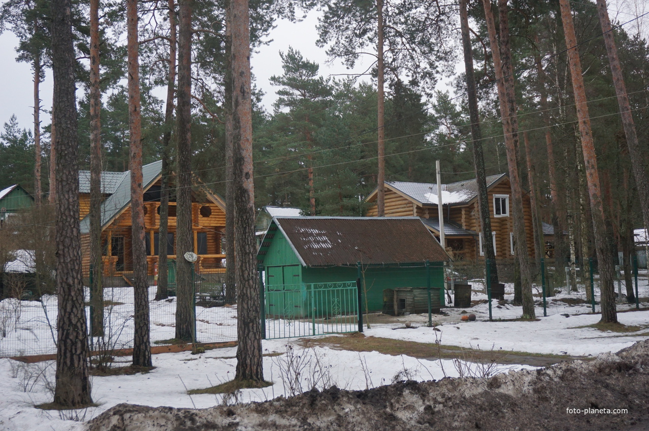 Сестрорецк п.Разлив.