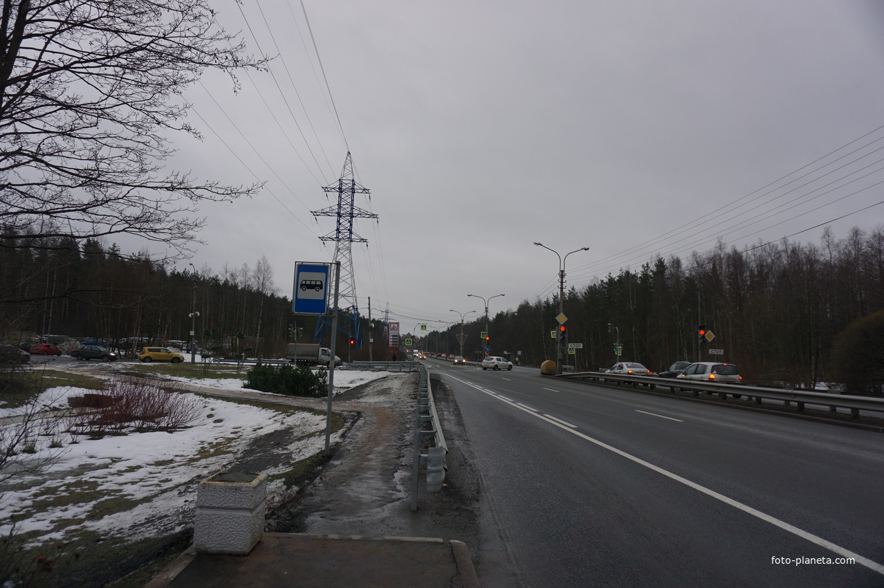 Сестрорецк п.Разлив.