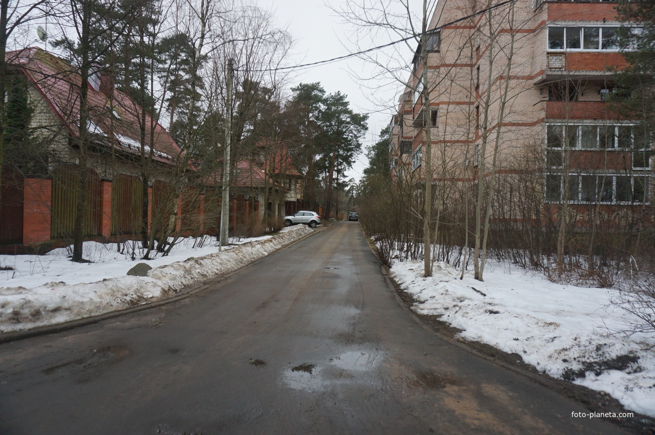 Сестрорецк п.Разлив.