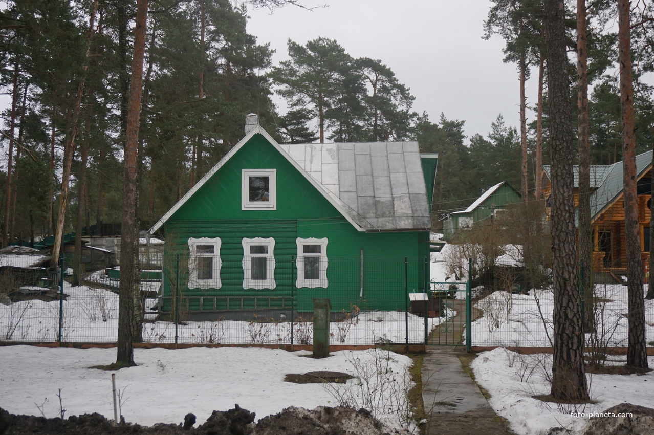 Сестрорецк п.Разлив.