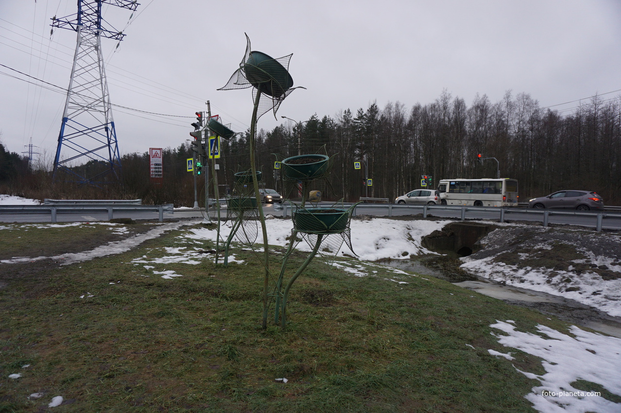 Сестрорецк п.Разлив.