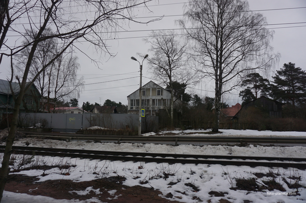 Сестрорецк п.Разлив.