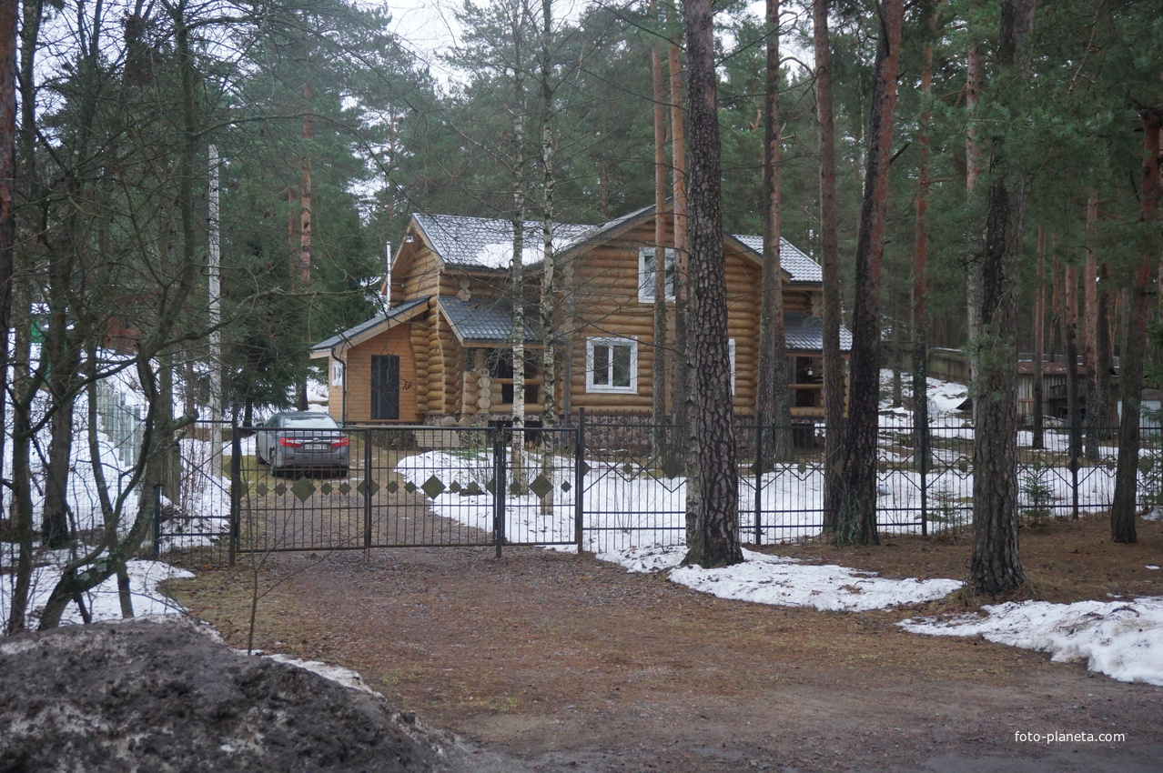 Сестрорецк п.Разлив.