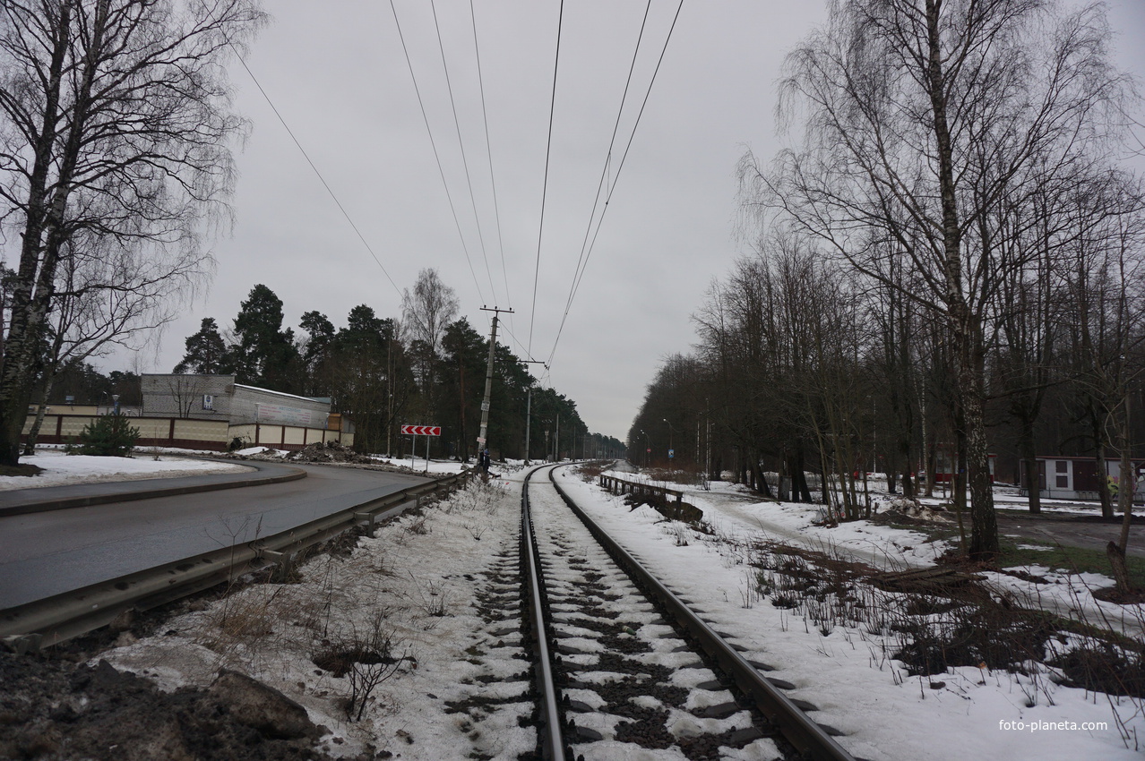 Сестрорецк п.Разлив.