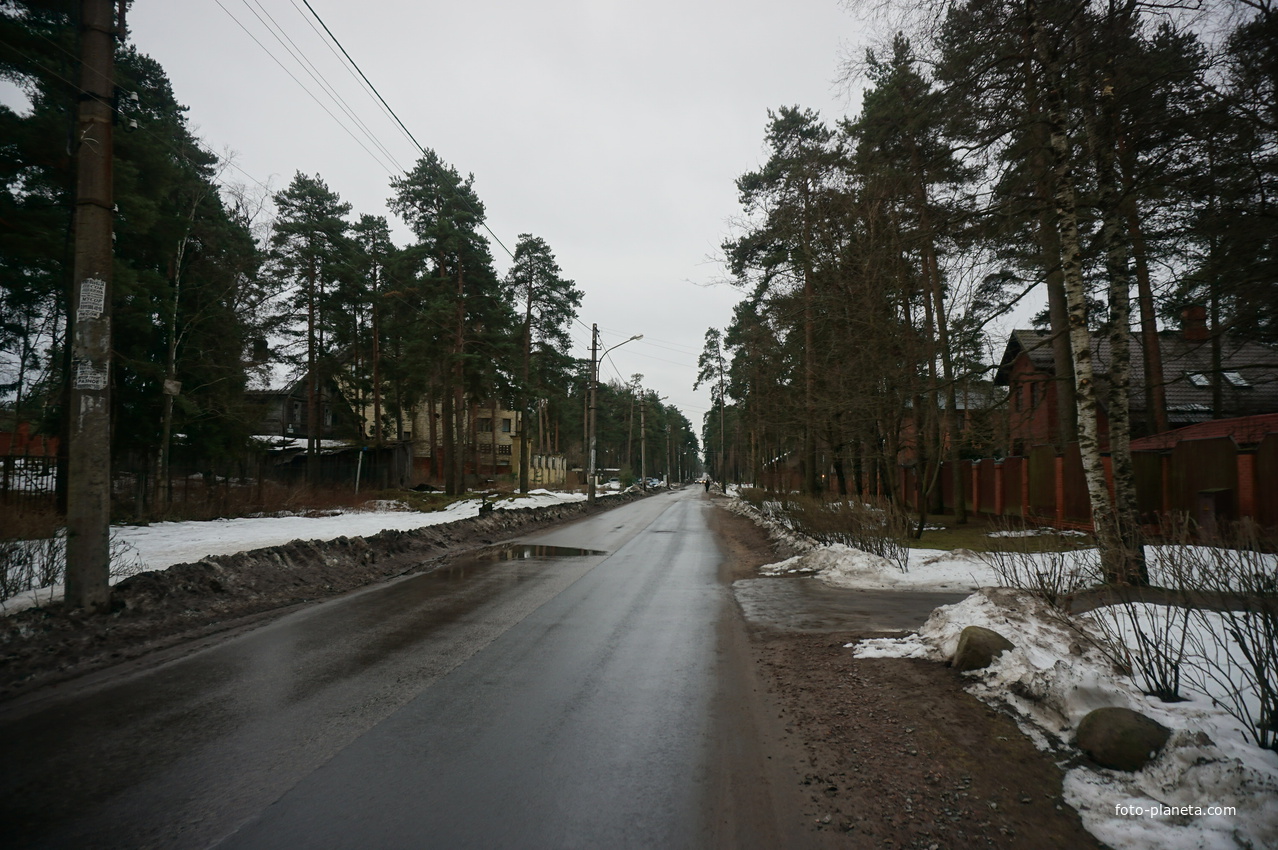 Сестрорецк п.Разлив.