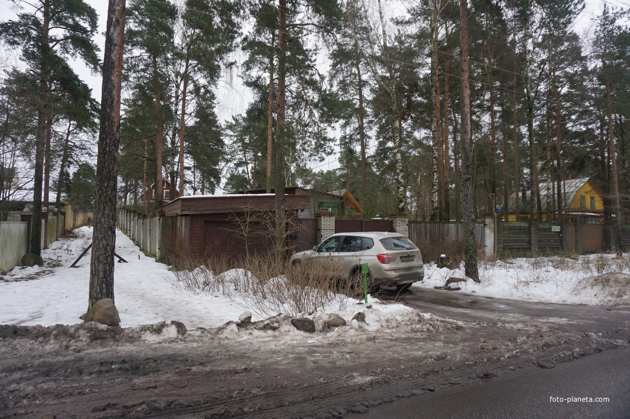 Сестрорецк п.Разлив.