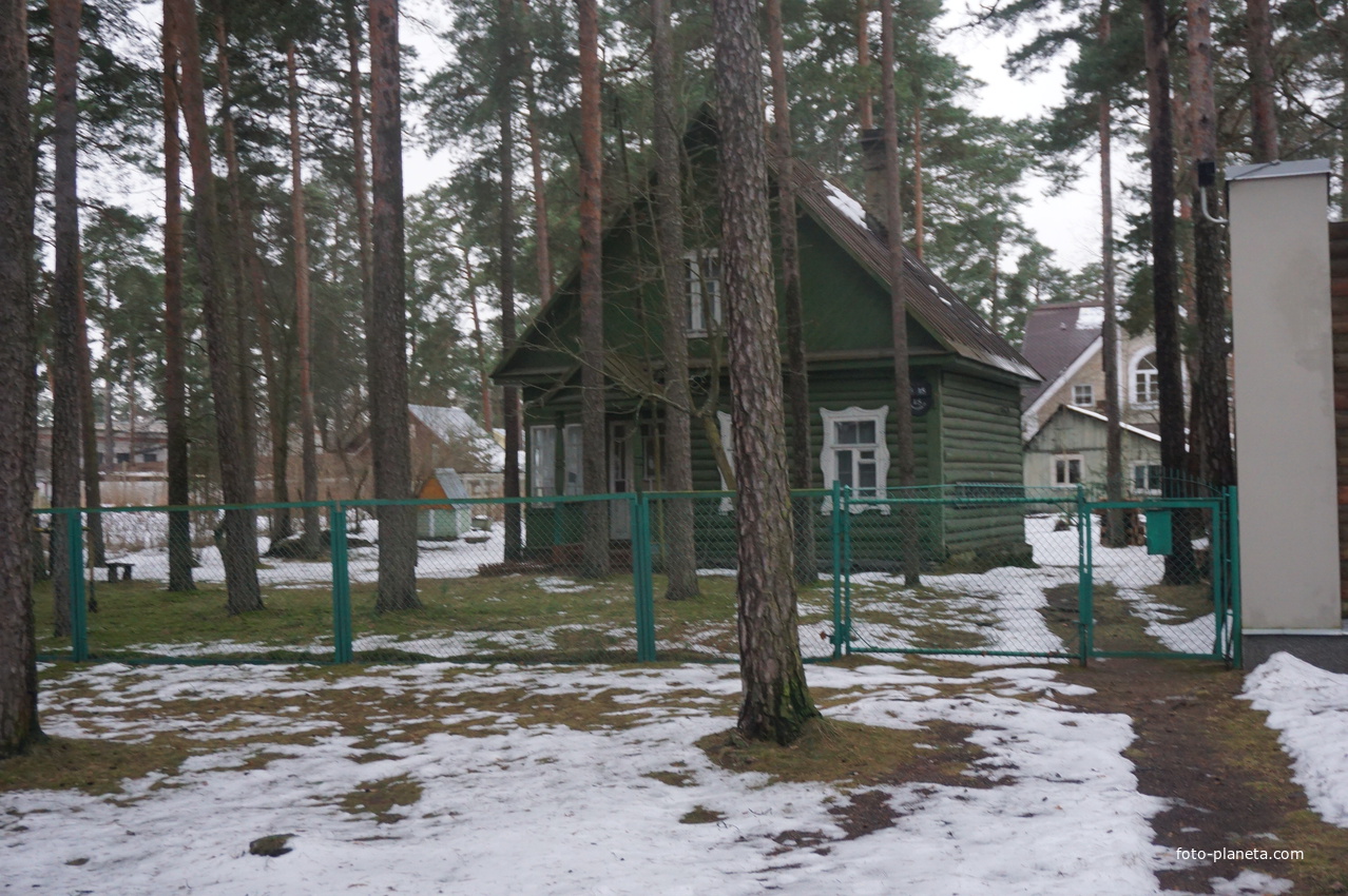 Сестрорецк п.Разлив.