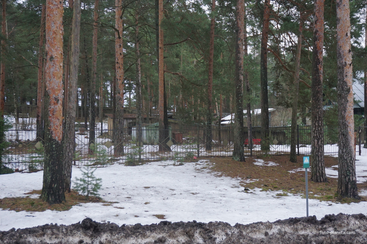 Сестрорецк п.Разлив.