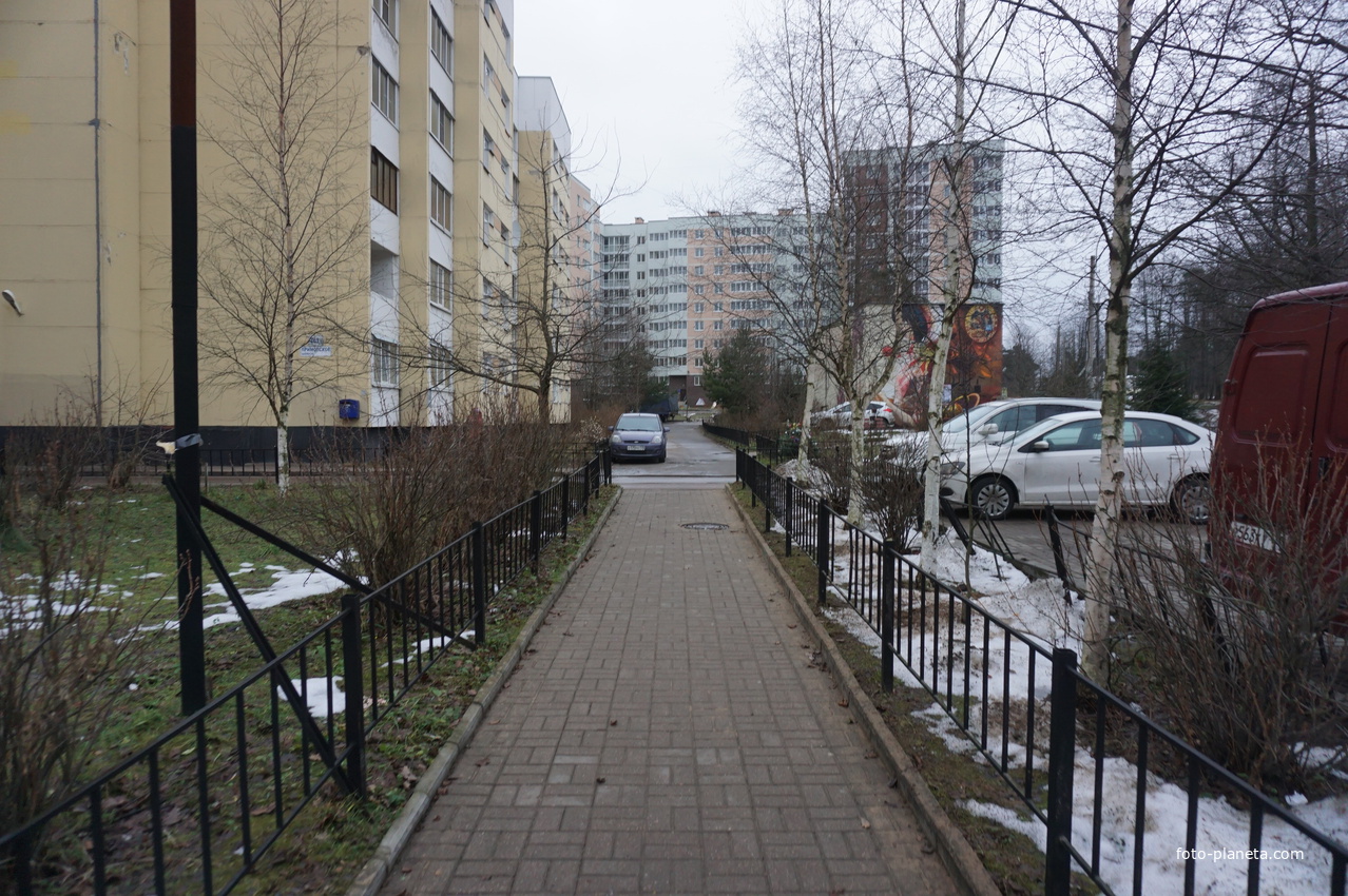 Сестрорецк п.Разлив.