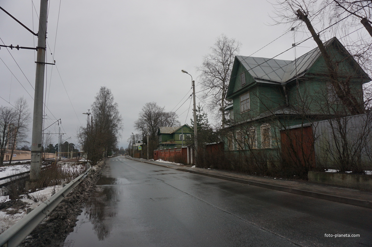 Сестрорецк п.Разлив.