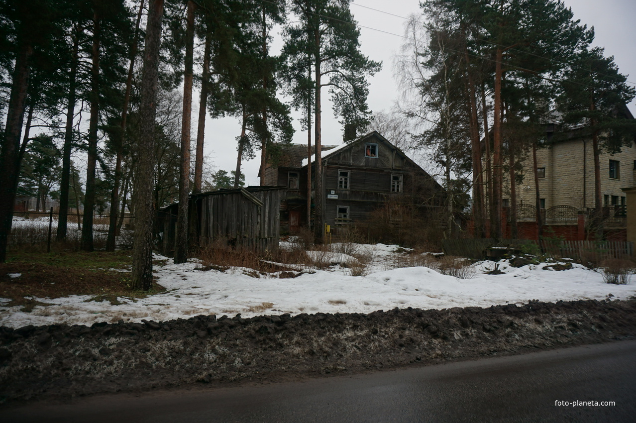 Сестрорецк п.Разлив.