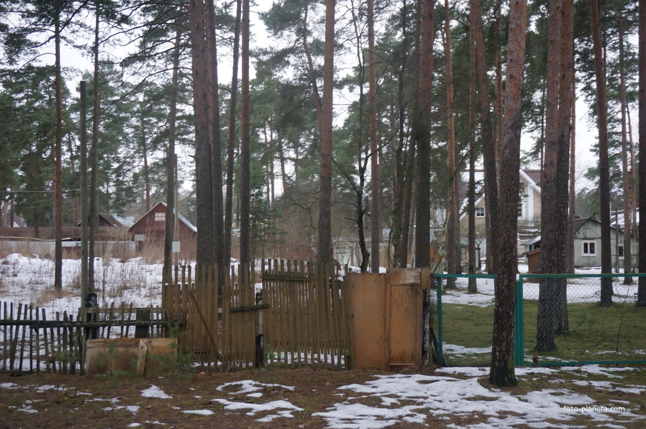 Сестрорецк п.Разлив.