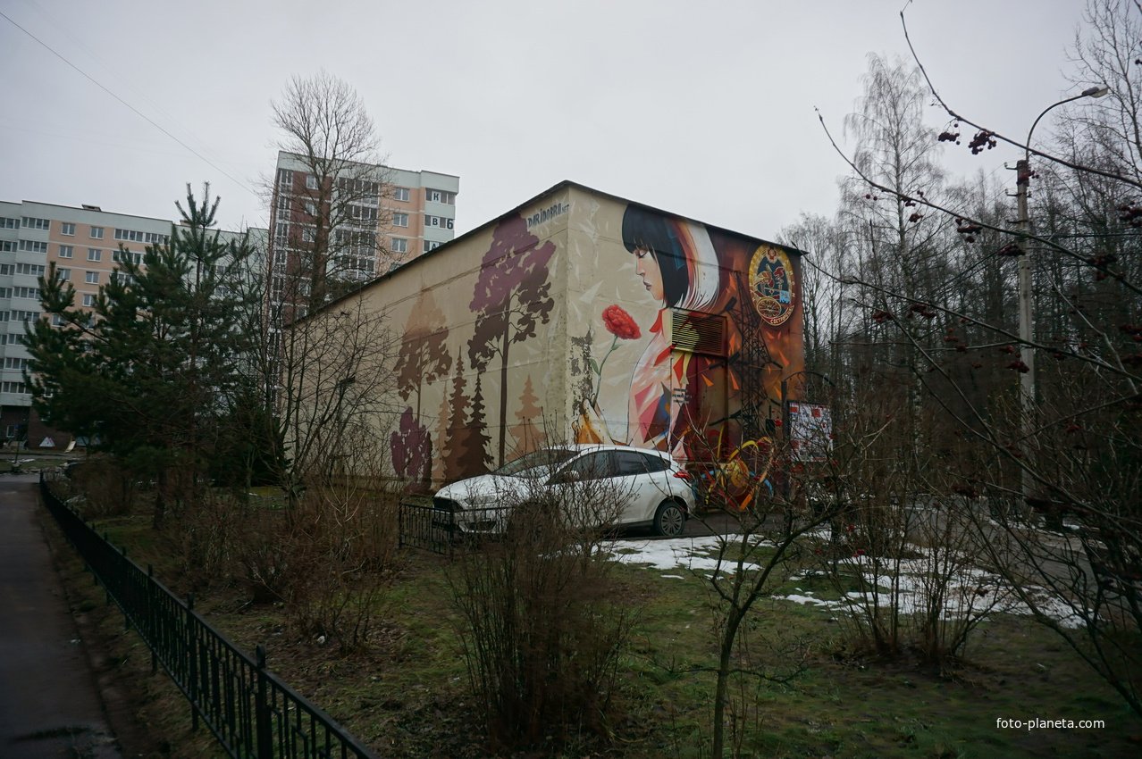 Сестрорецк п.Разлив.