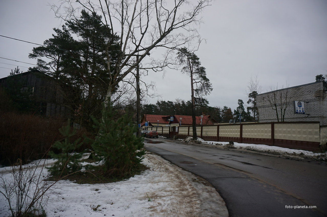 Сестрорецк п.Разлив.