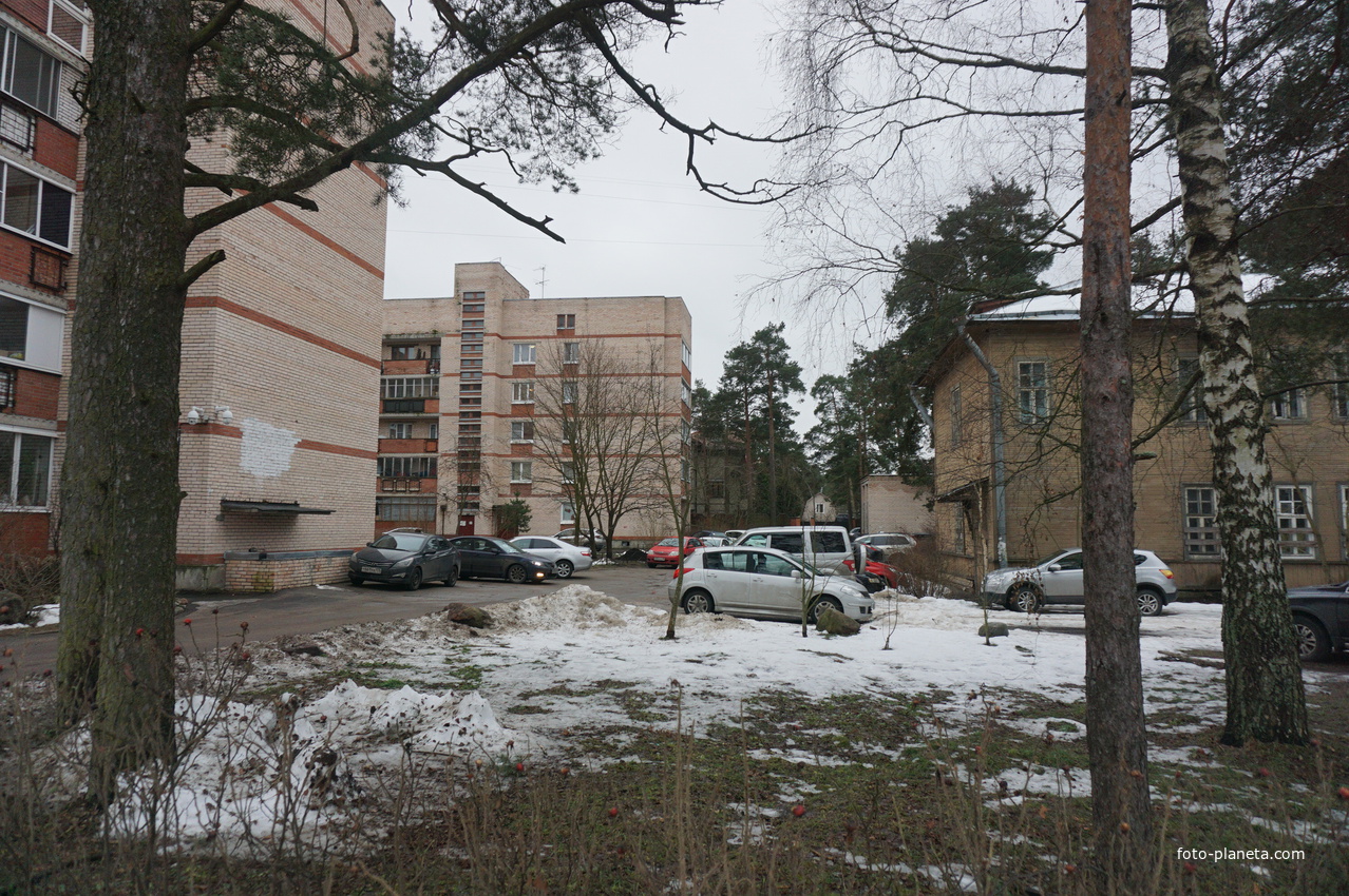 Сестрорецк п.Разлив.