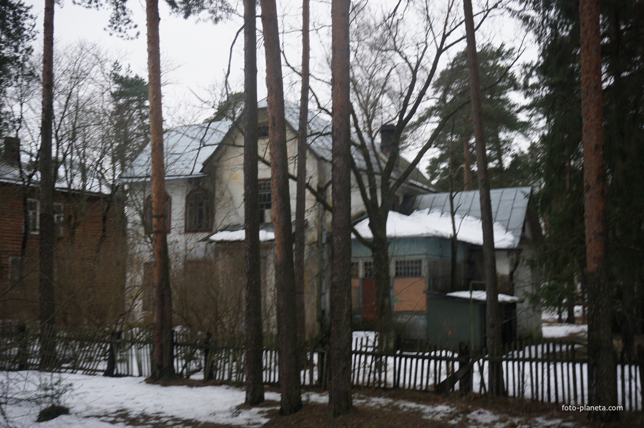 Сестрорецк п.Разлив.