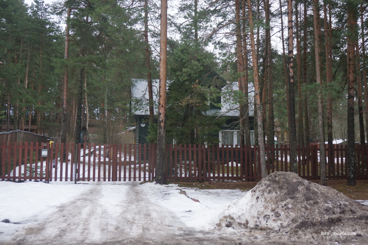 Сестрорецк п.Разлив.