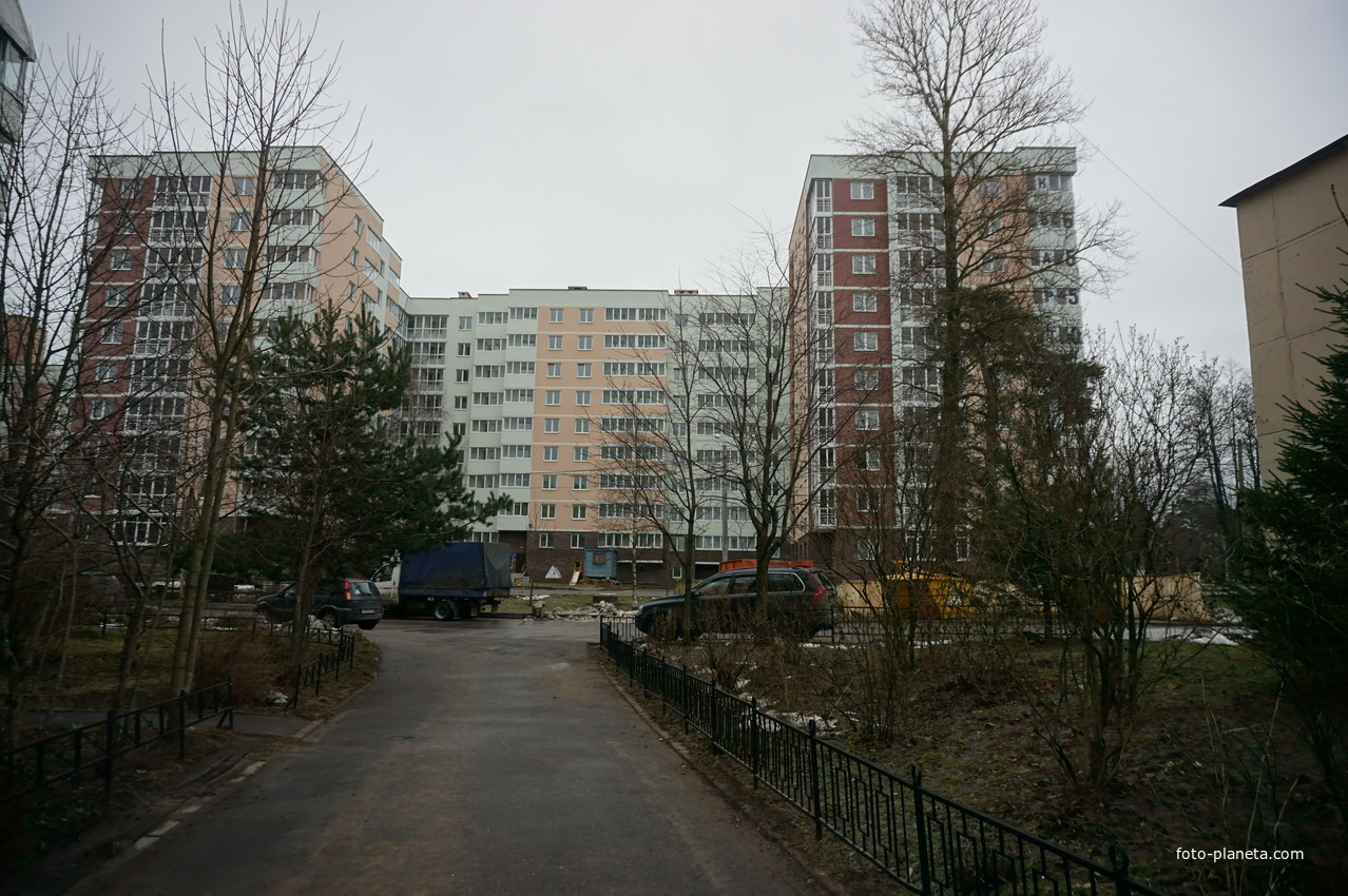 Сестрорецк п.Разлив.