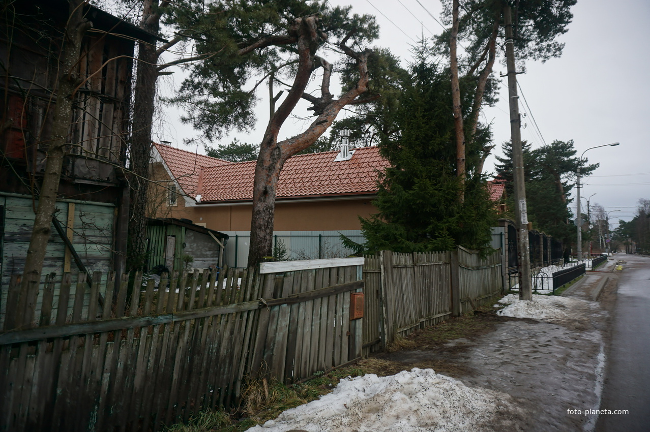 Сестрорецк п.Разлив.