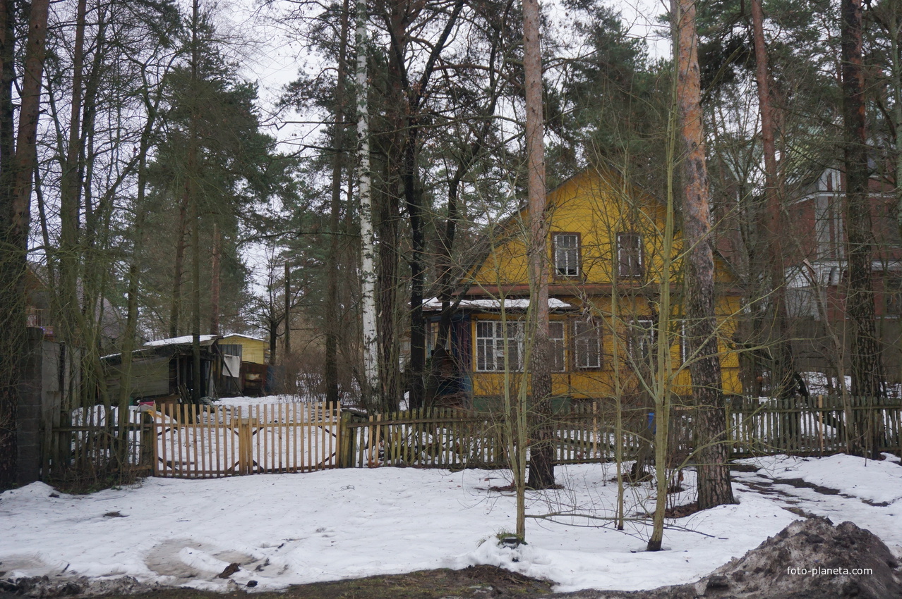 Сестрорецк п.Разлив.