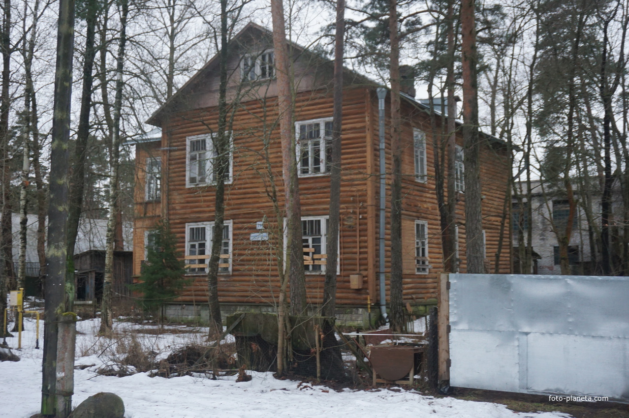 Сестрорецк п.Разлив.