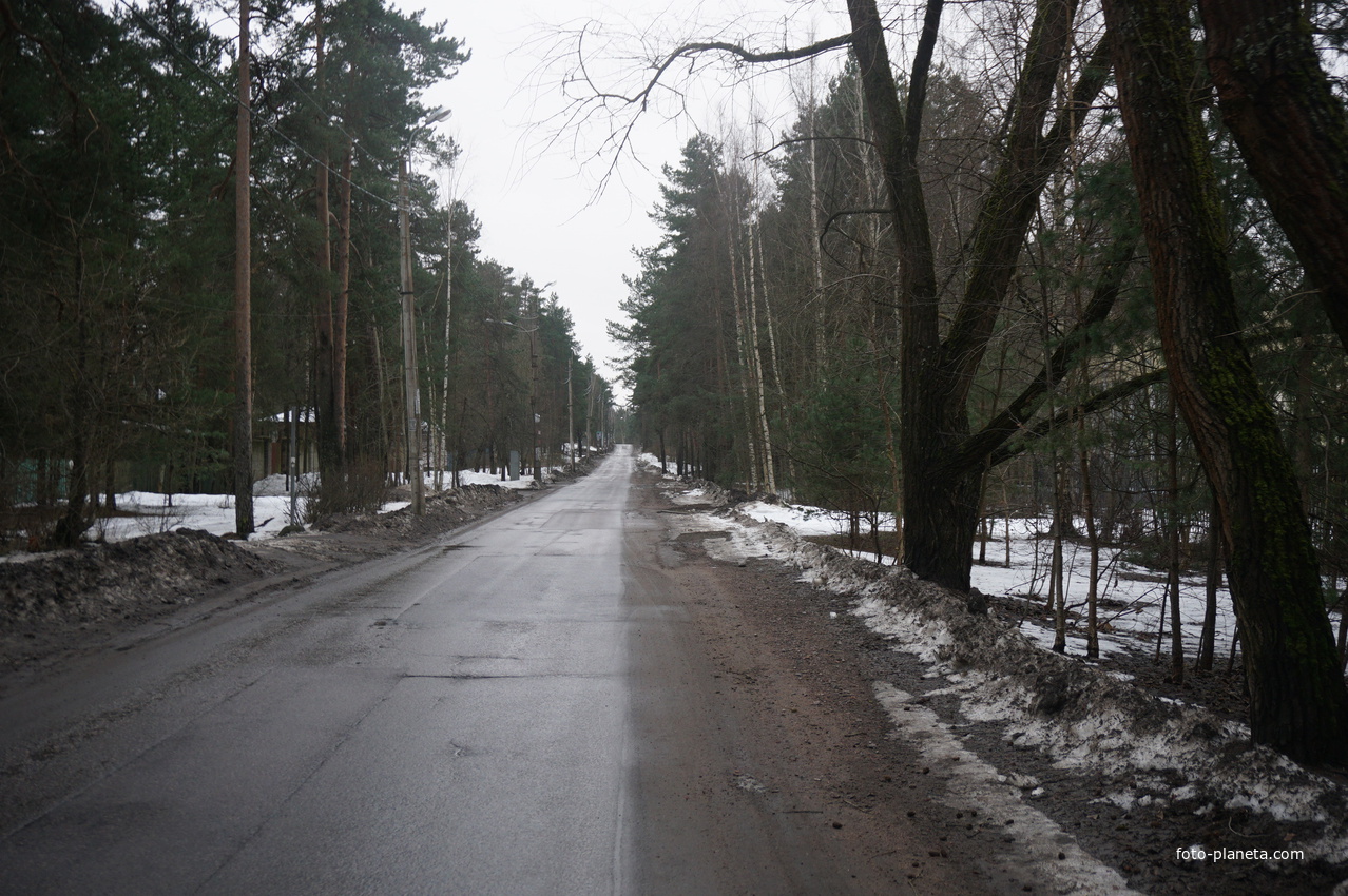 Сестрорецк п.Разлив.