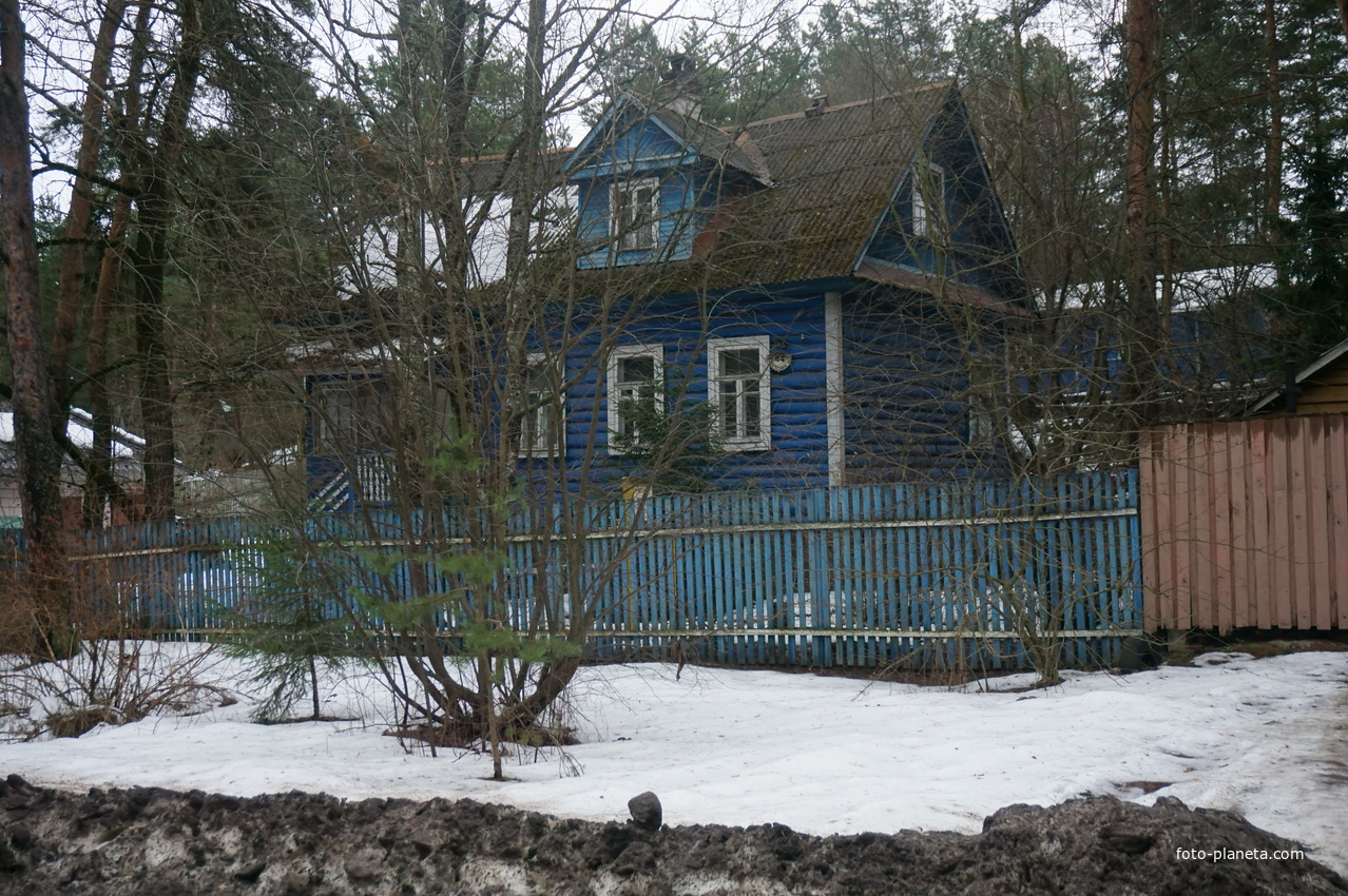 Сестрорецк п.Разлив.