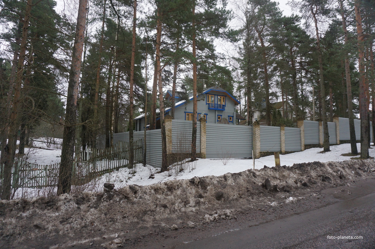 Сестрорецк п.Разлив.