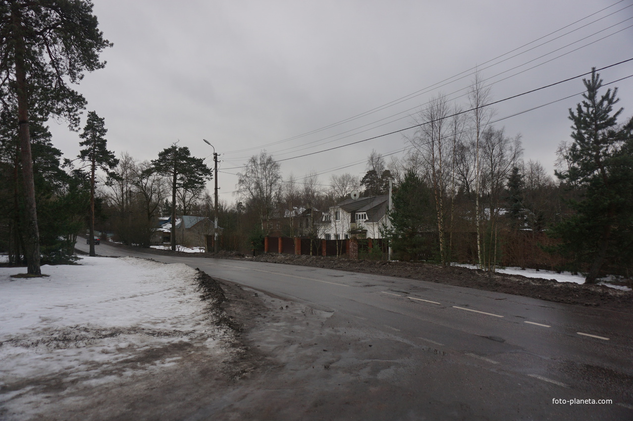 Сестрорецк п.Разлив.