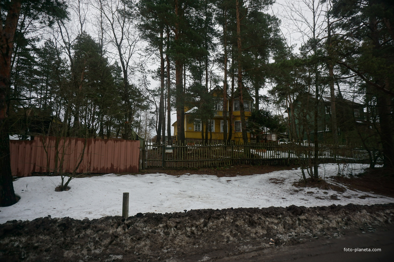 Сестрорецк п.Разлив.