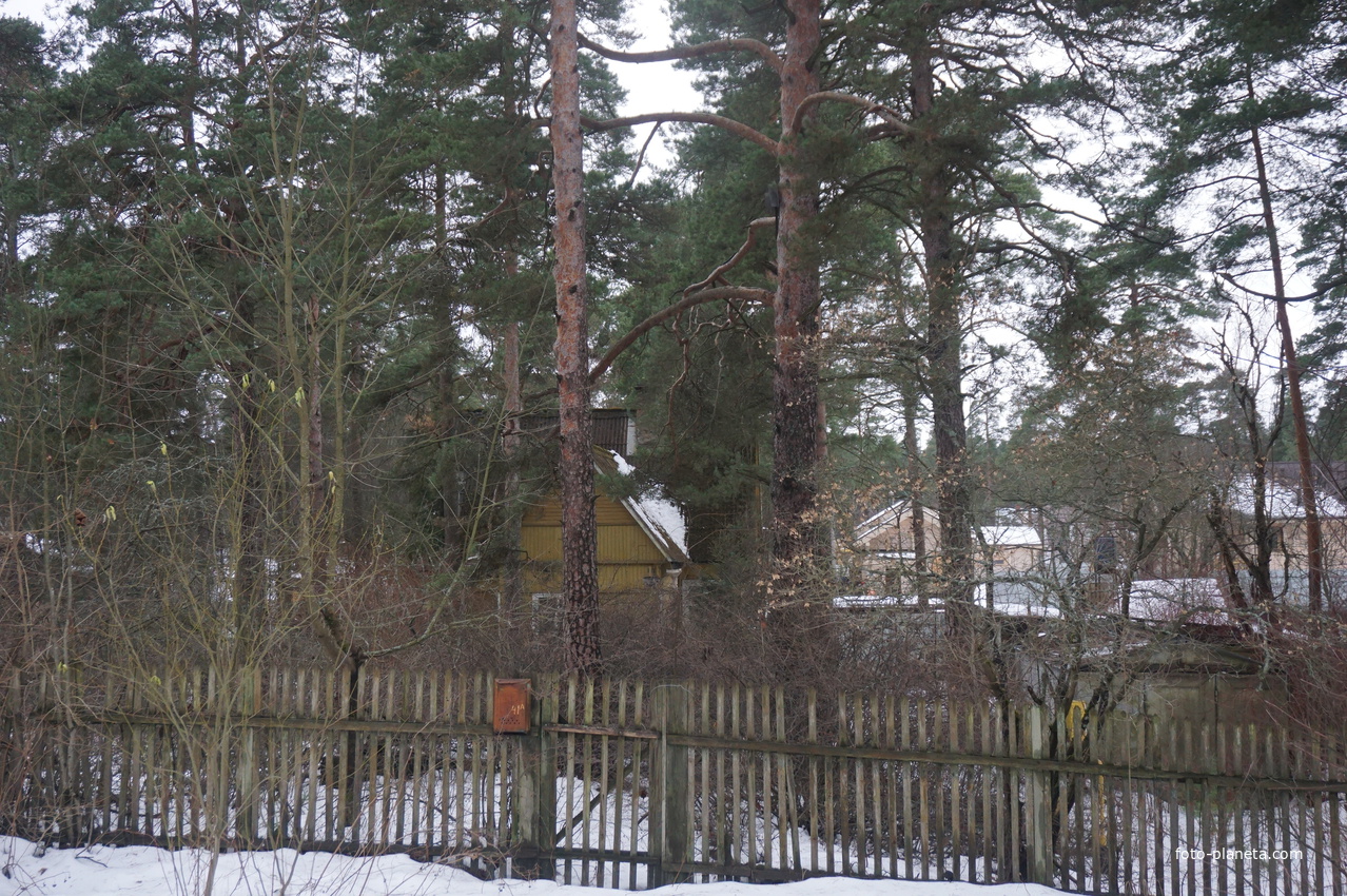 Сестрорецк п.Разлив.