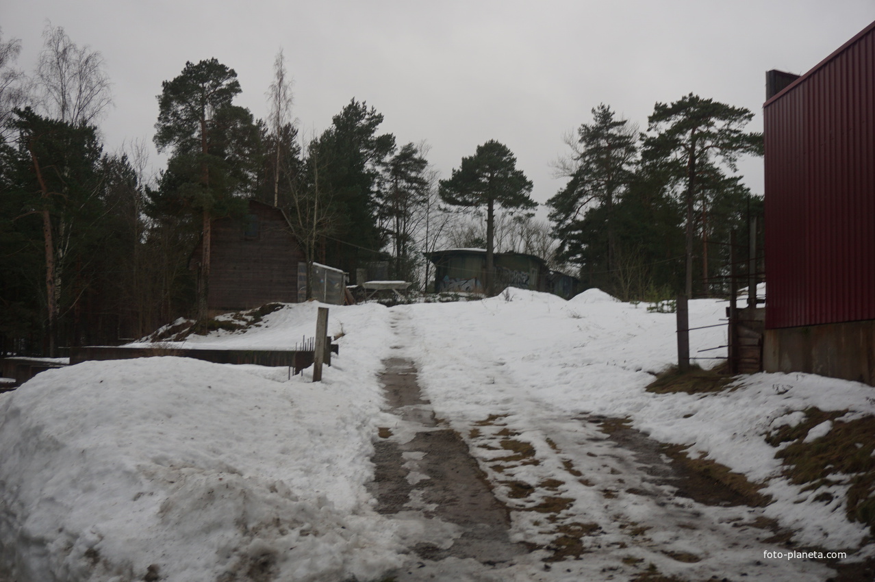 Сестрорецк п.Разлив.