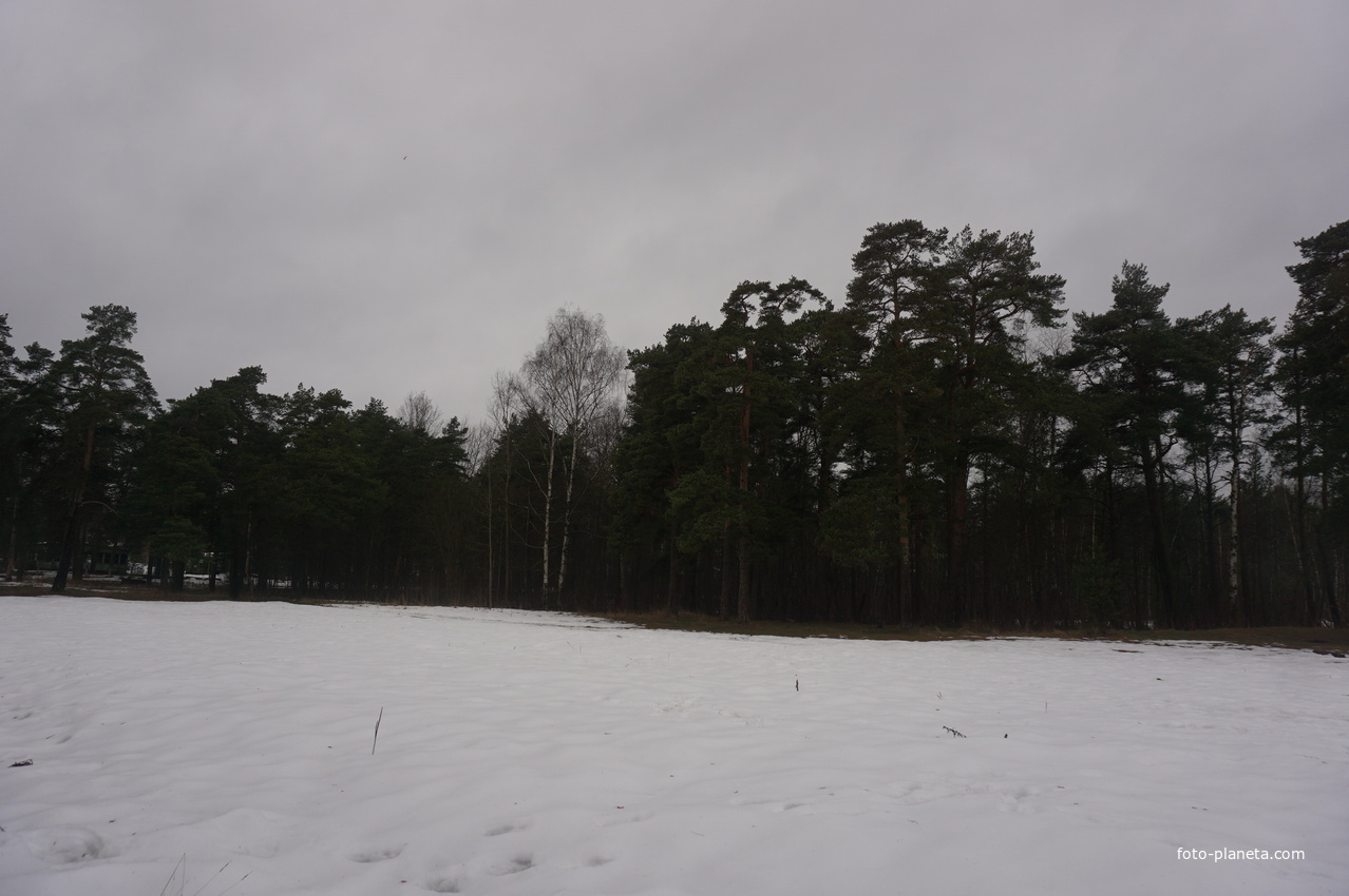 Сестрорецк п.Разлив.