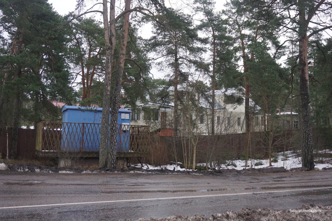 Сестрорецк п.Разлив.