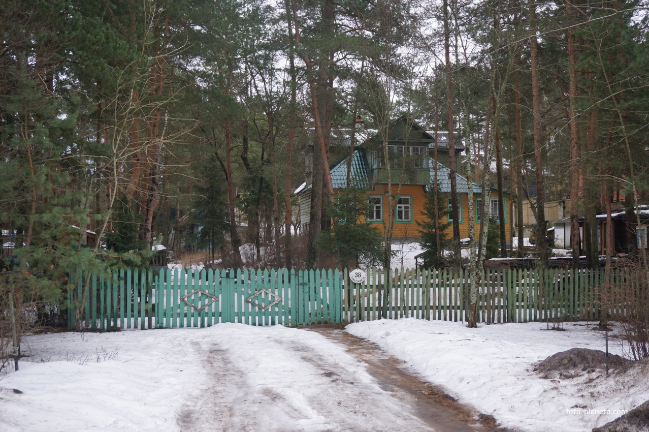 Сестрорецк п.Разлив.