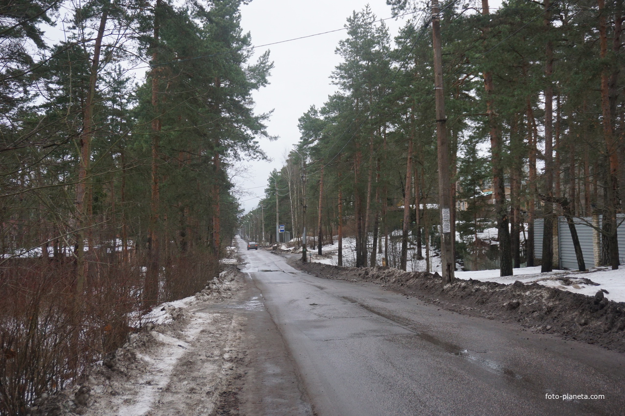 Сестрорецк п.Разлив.