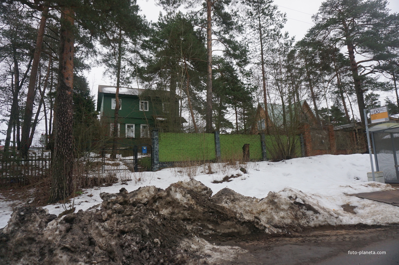 Сестрорецк п.Разлив.