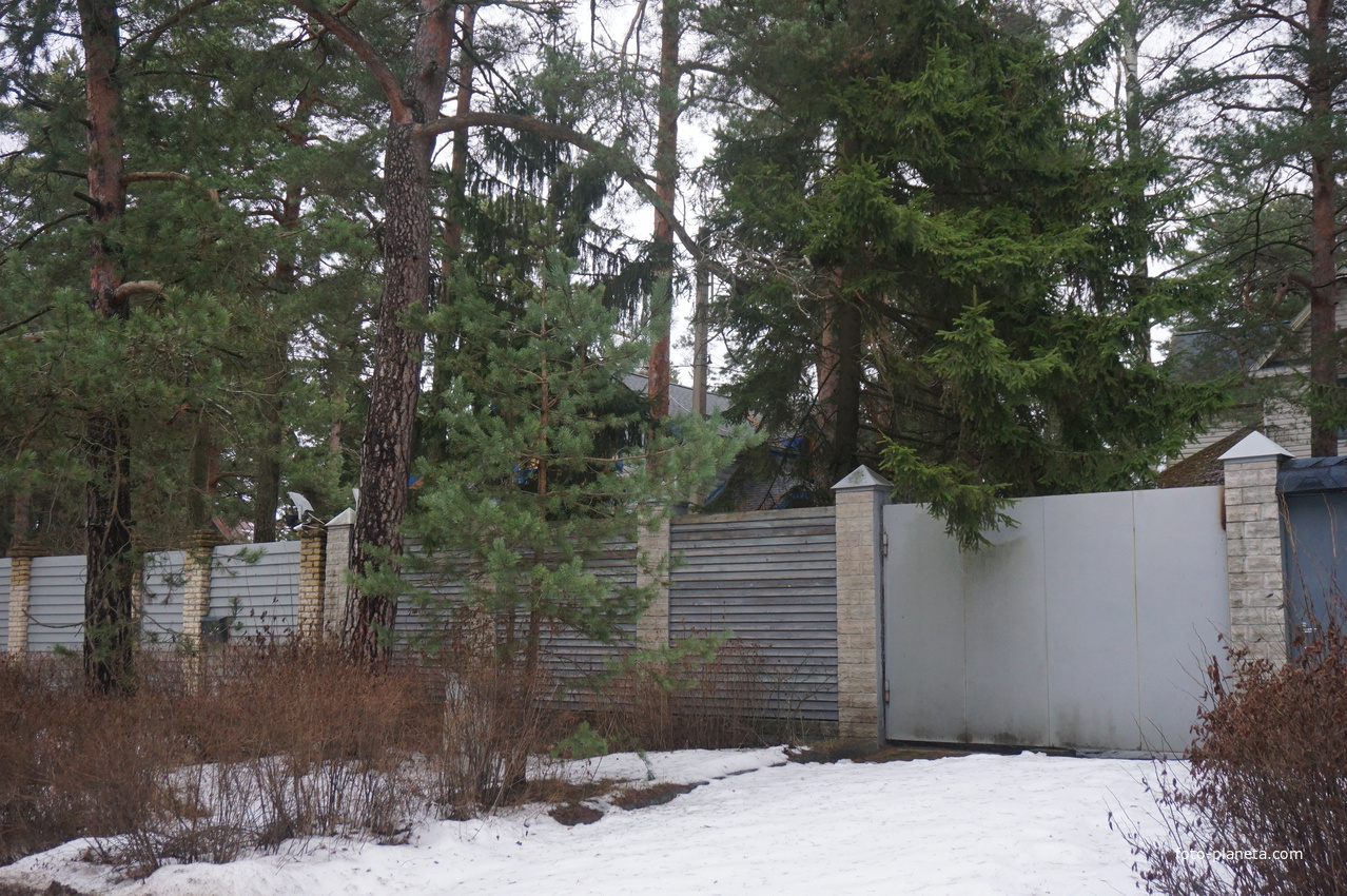 Сестрорецк п.Разлив.