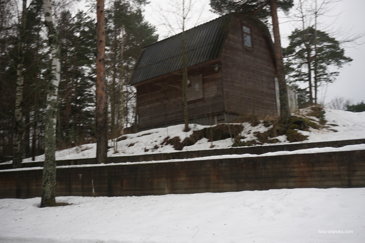 Сестрорецк п.Разлив.