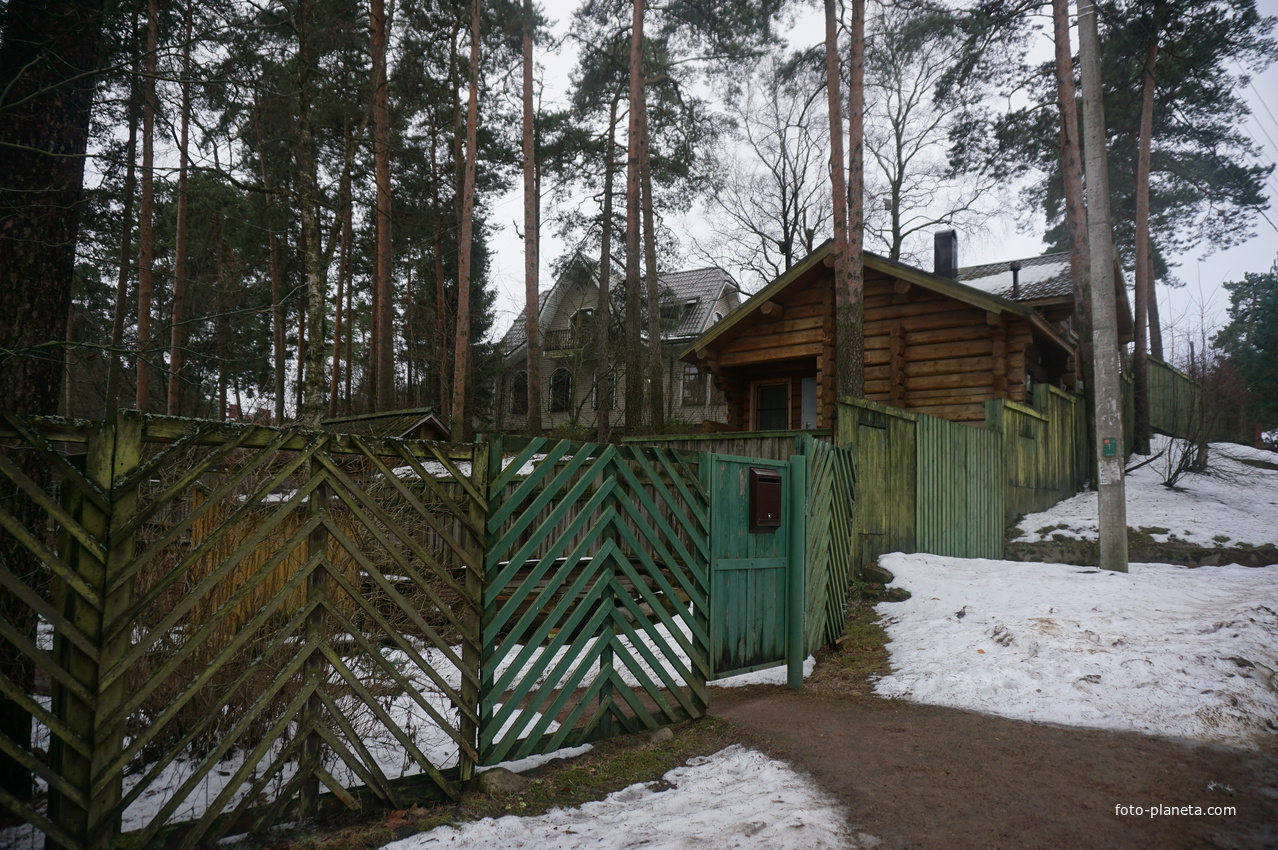 Сестрорецк п.Разлив.