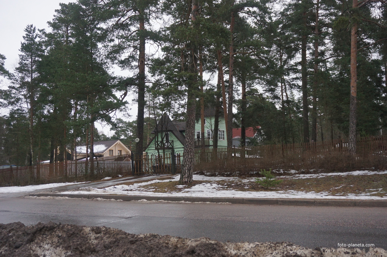 Сестрорецк п.Разлив.