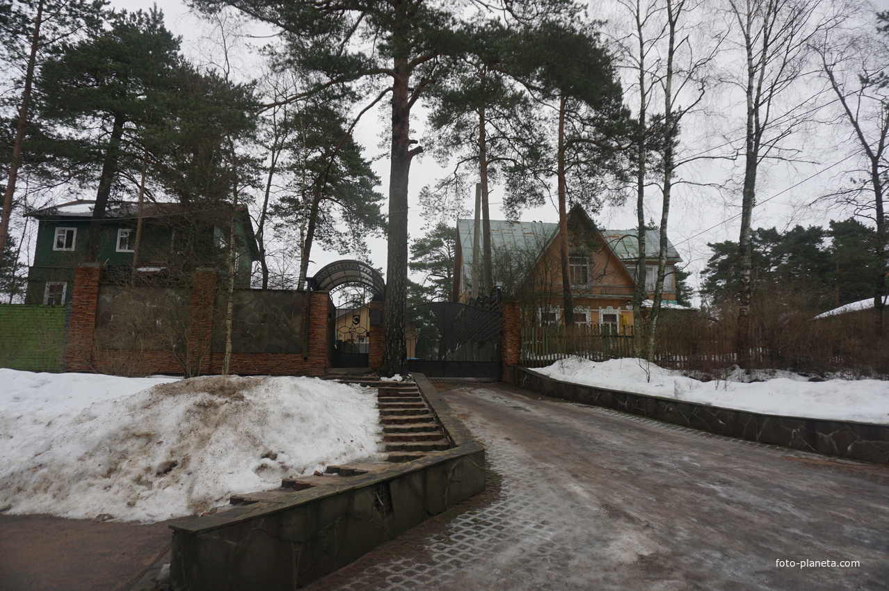 Сестрорецк п.Разлив.