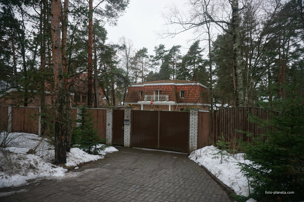 Сестрорецк п.Разлив.